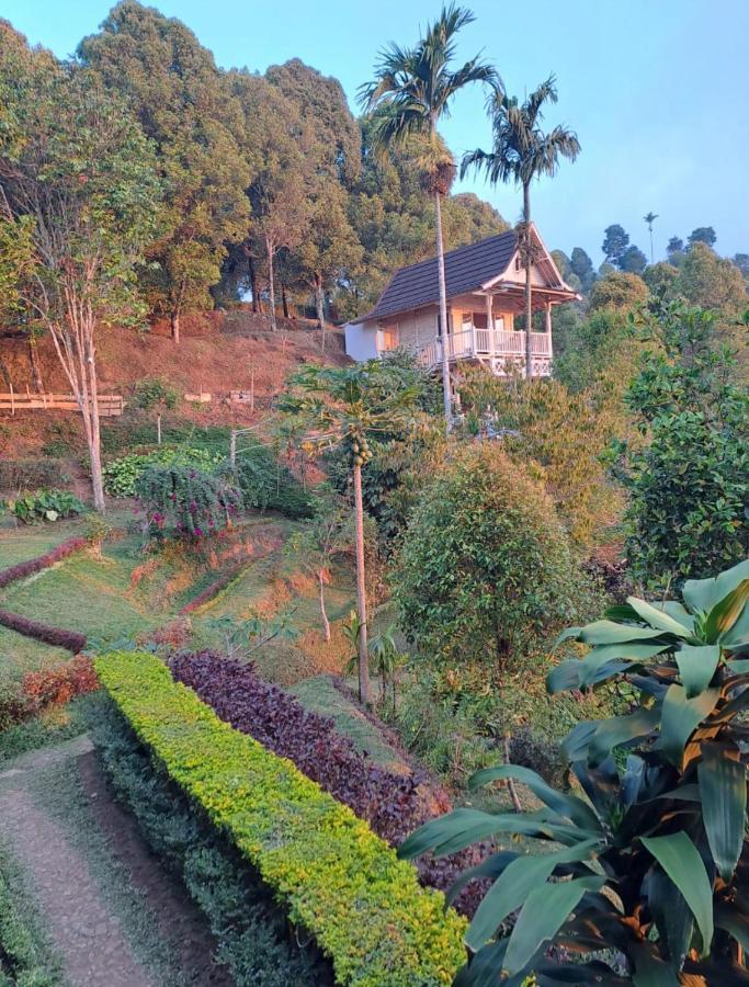 Garden Terrace Bali Bed and Breakfast Gobleg  Exteriör bild
