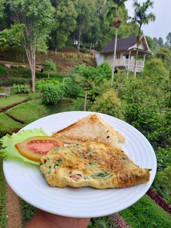 Garden Terrace Bali Bed and Breakfast Gobleg  Exteriör bild