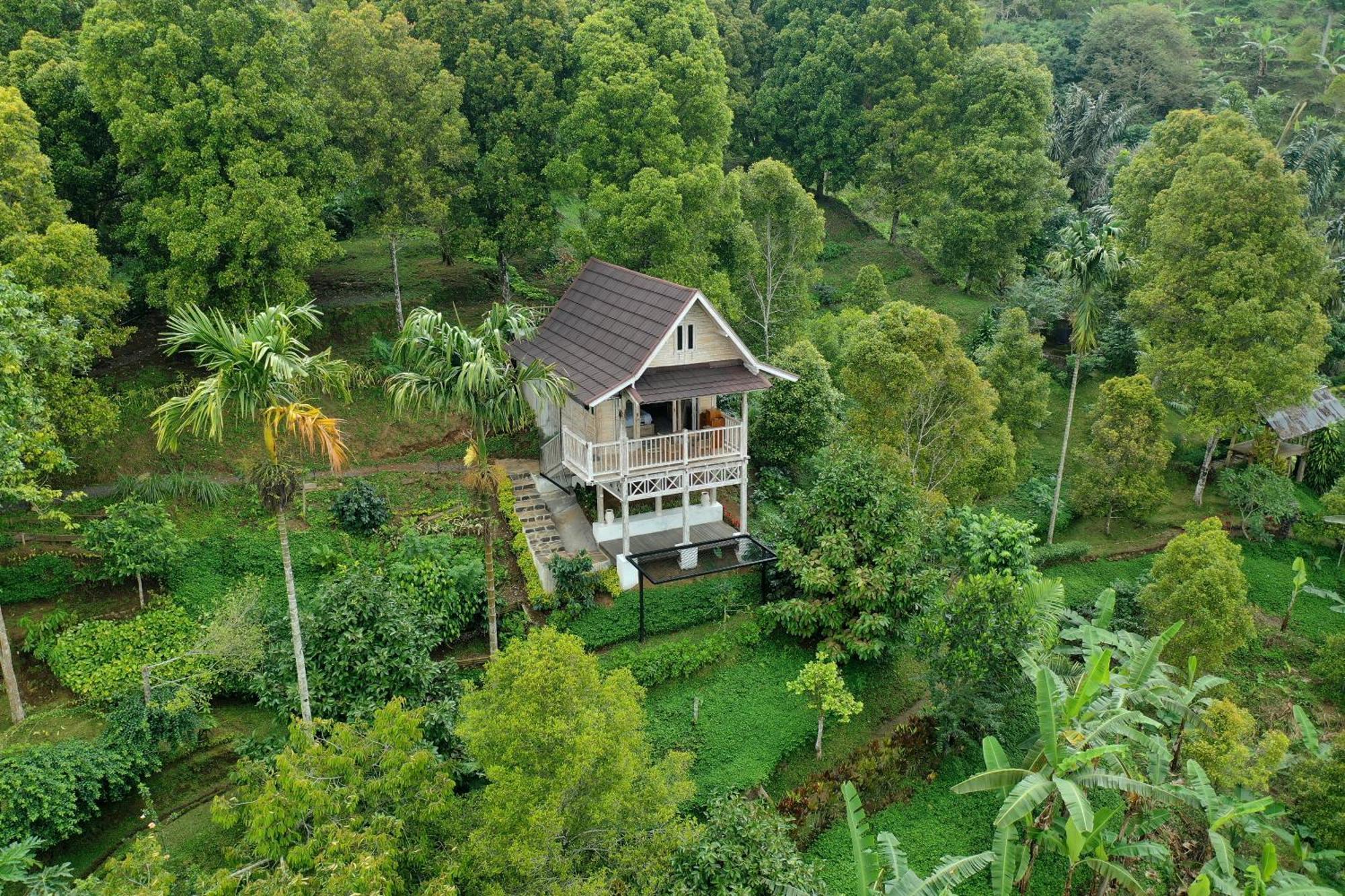 Garden Terrace Bali Bed and Breakfast Gobleg  Exteriör bild