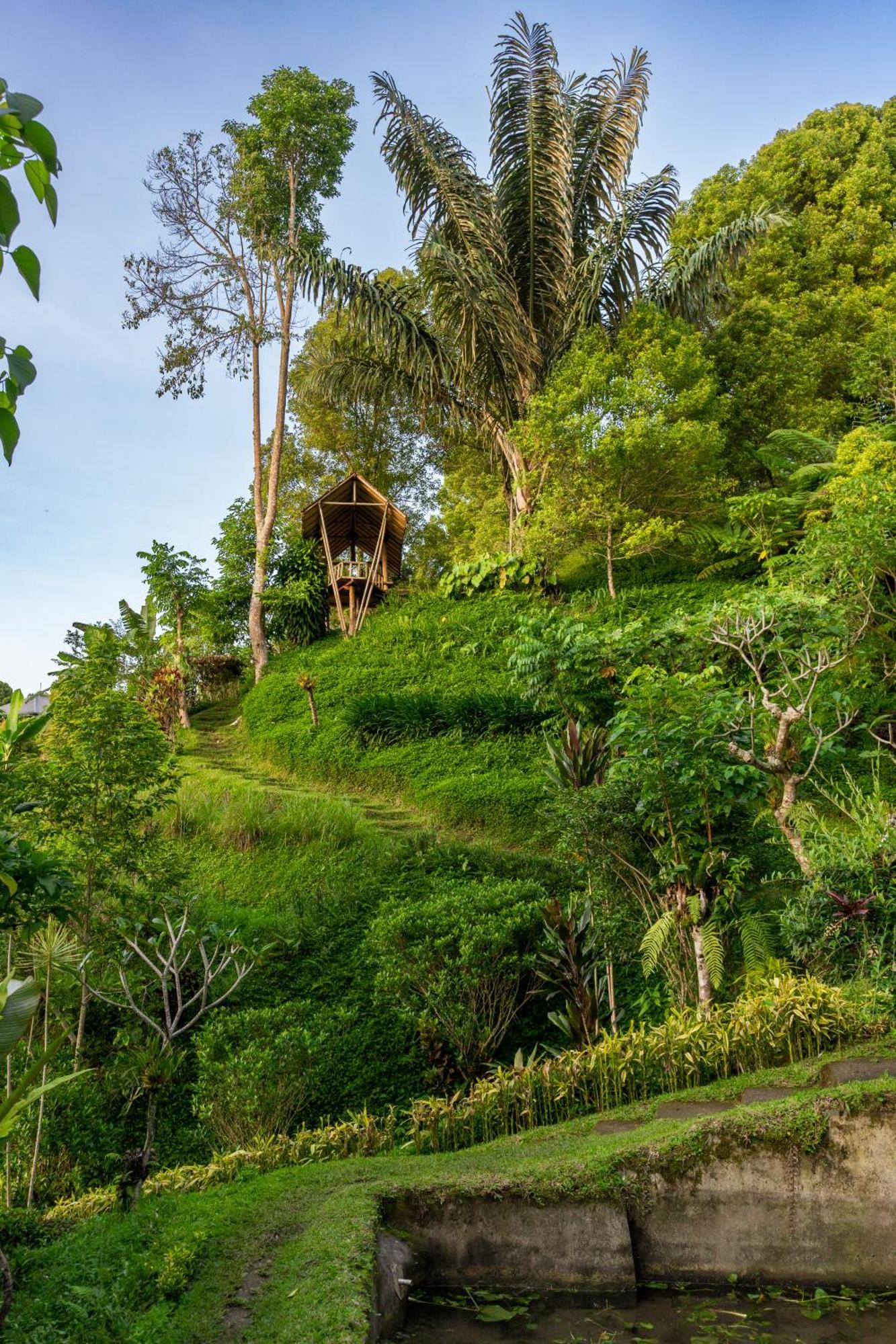 Garden Terrace Bali Bed and Breakfast Gobleg  Exteriör bild
