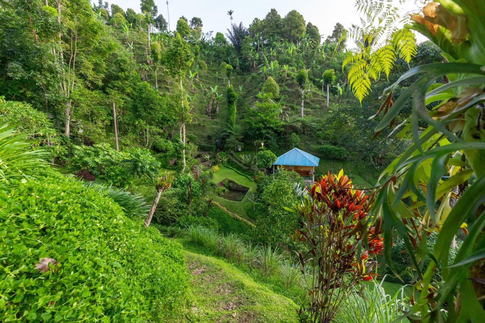Garden Terrace Bali Bed and Breakfast Gobleg  Exteriör bild