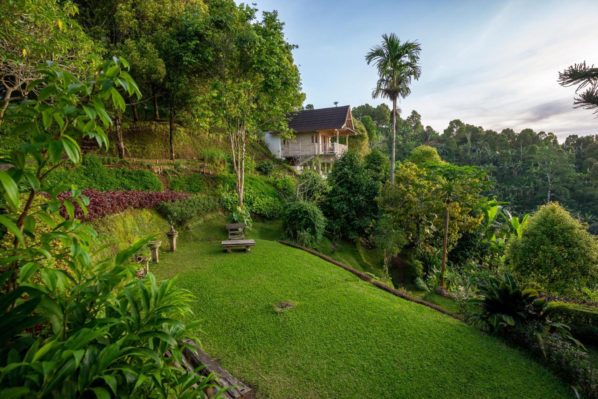 Garden Terrace Bali Bed and Breakfast Gobleg  Exteriör bild