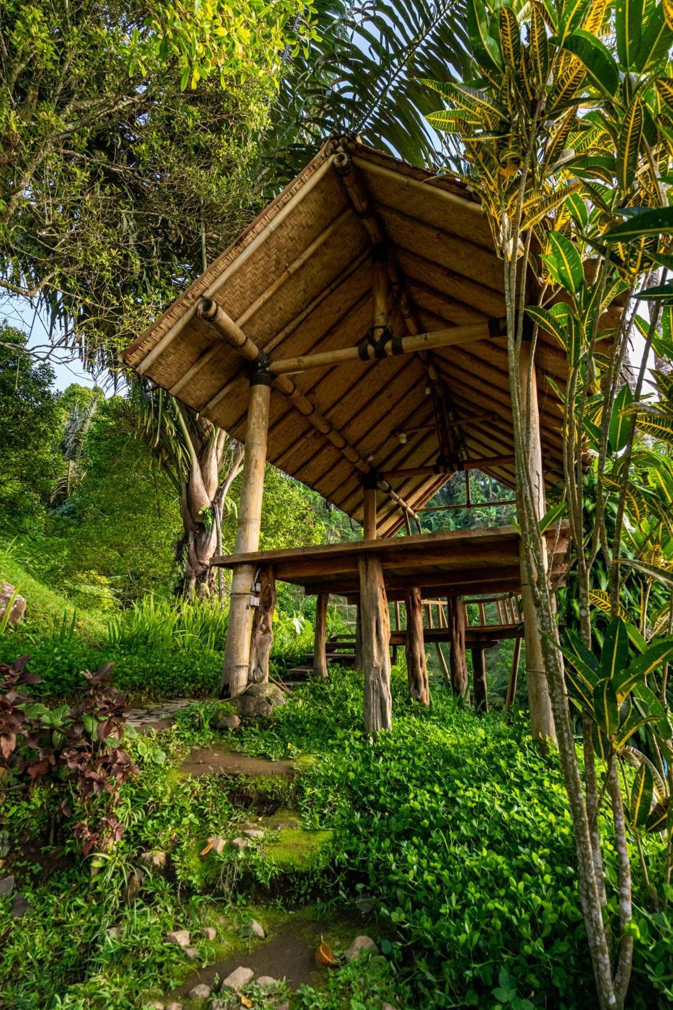 Garden Terrace Bali Bed and Breakfast Gobleg  Exteriör bild