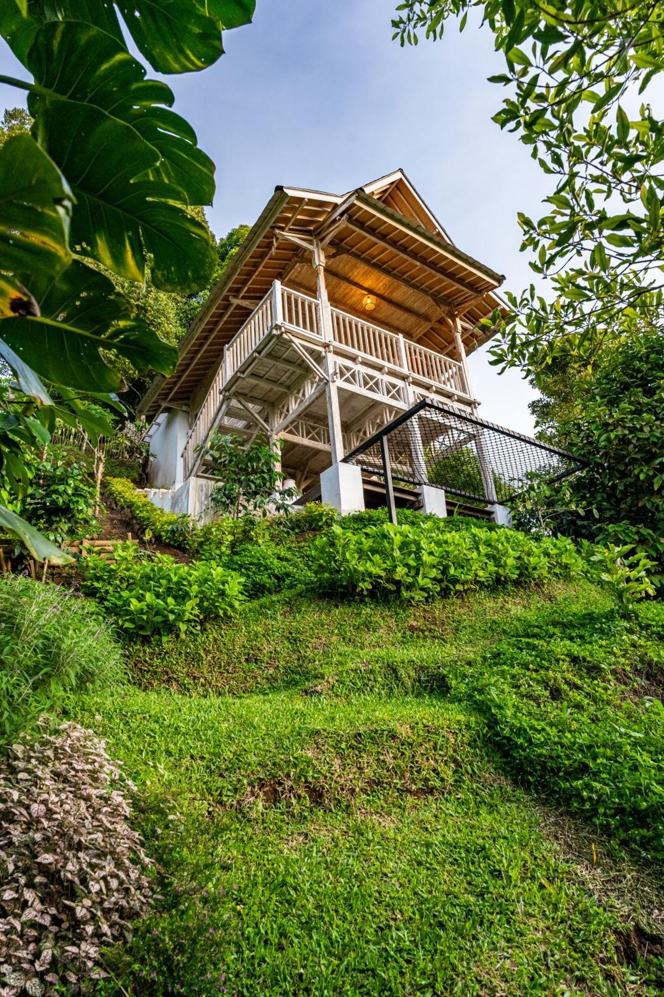 Garden Terrace Bali Bed and Breakfast Gobleg  Exteriör bild